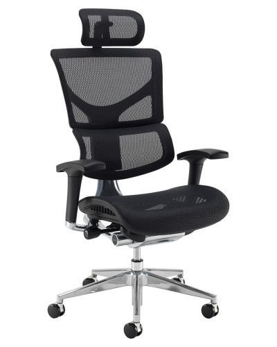 Dynamo Ergo Mesh-Back Posture Chair + Head Rest 24H