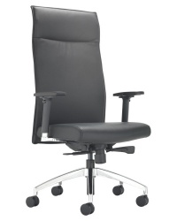 Waterloo Executive Chair + Adjustable Armrests 24H