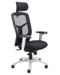 Fonz Mesh-Back Office Chair 24H