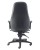 Cheetah Leather Office Chair 24H