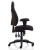 Esme Posture Chair + Height Adjustable Arms