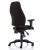 Esme Posture Chair + Height Adjustable Arms