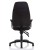 Esme Posture Chair + Height Adjustable Arms