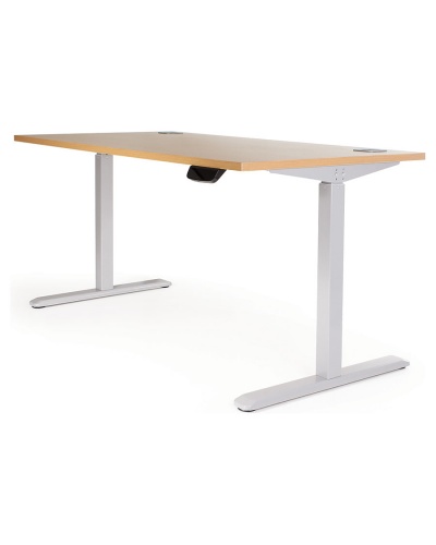Sit-Stand Electric Adjustable Height Table