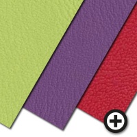 Mardis Gras C5 Vinyl Upholstery