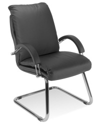 Nadir Leather Visitor Chair 24H
